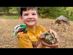 CATCHING GIANT TURTLES, WATER SLIDES and GIANT EXCAVATORS for KIDS! BEST DAY EVER with Caleb & Mom
