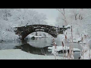 Adult Swim Bumps: Winter 2016-17