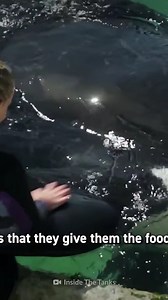 The moment everything changed | How to Survive Show