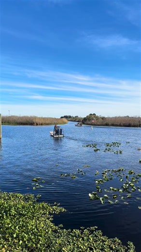 It’s Saturday and the vibes are just right at Camp Holly. ☀️ The sun’s out, the drinks are flowing, and live music kicks off from 1–5 PM on the covered deck. Come spend the day with us on the St. Johns River! | Camp Holly Airboat Rides