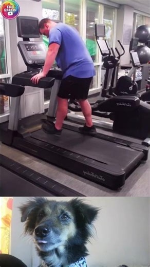 Treadmill Fail 😂 | Epic Gym Moment Gone Wrong! #short #failreacts #wiral