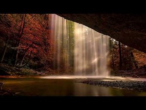 Autumn falls | Christian Video background loops full HD | Grace Productions