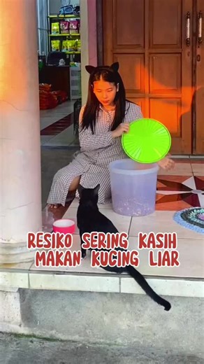 Atasi Kucing Pipis dan Pup Sembarangan dengan Mudah