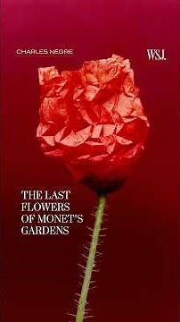 The Last Flowers of Claude Monet's Gardens