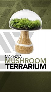 This is still one of my favorite terrariums #terrarium #plants #moss | Johnathon Q Swanson