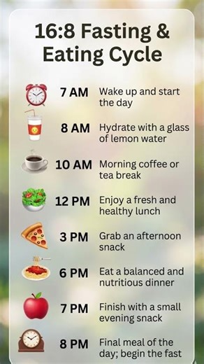 Complete Daily Eating Cycle Explained | IF for Beginners #shorts