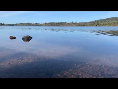 1 Hour of Peaceful Lake Sounds in Ireland | Relaxing Nature 4K 🇮🇪