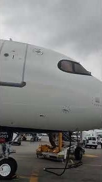 Delta Airlines Brand New Airbus A321 NEO!