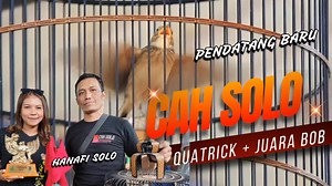 91 reactions · 39 comments | ini nih yang lagi viral Branjangan java "Cah Solo" meraih QUATRICK + Juara BEST OF THE BEST di Herman Las Cup Purworejo, 24 November 2024 #branjanganjava #cahsolo #branjangankonslet #branjangangacor | Maman Jaya | Facebook