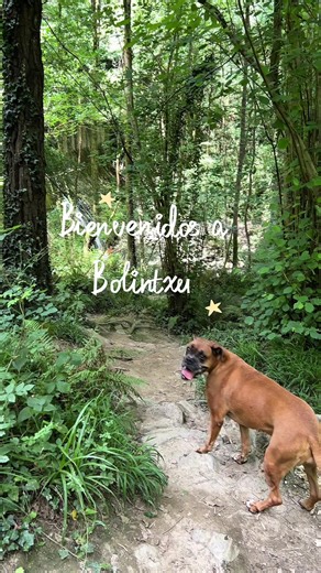 Ruta de Bolintxu cerca de Bilbao: cascada y baño refrescante