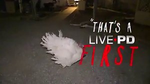 🚨 Just when you thought you saw it all. Watch 10 full episodes of Live PD in the Surprise Endings playlist on AETV.com. 🚨 | Live PD on A&E