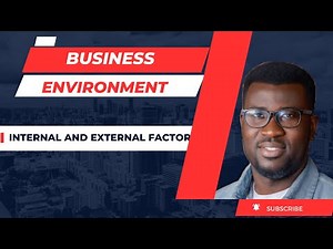 Internal and External Business Environment