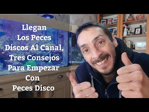 🔵 Consejos Para Empezar Con Peces Discos,Como Cuidar Peces Disco,Capitulo 1 ( Acuarios MB)