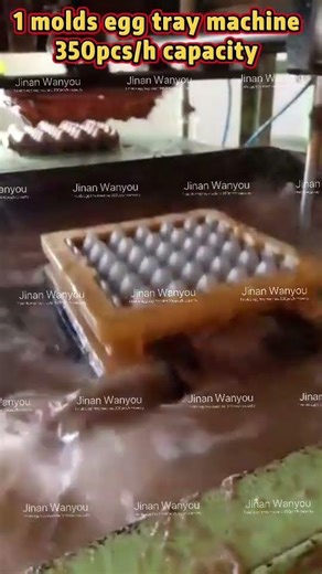 Egg Tray Machine 3000pcs hr Mass Production