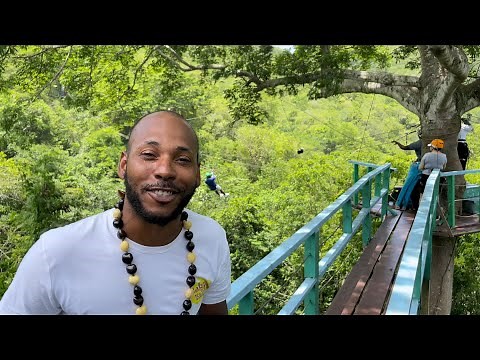 A Day with Ray | Zip line tour | Antigua Rainforest Canopy