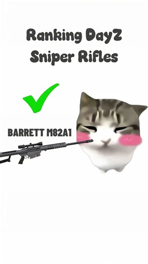 Ranking Sniper Rifles 😸 #dayz #shorts