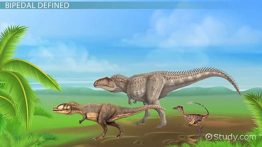 Bipedal Dinosaurs Types, Facts & Examples