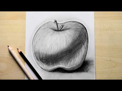 How to Draw a Realistic Apple with Pencil || Easy Drawing Ideas for Beginners