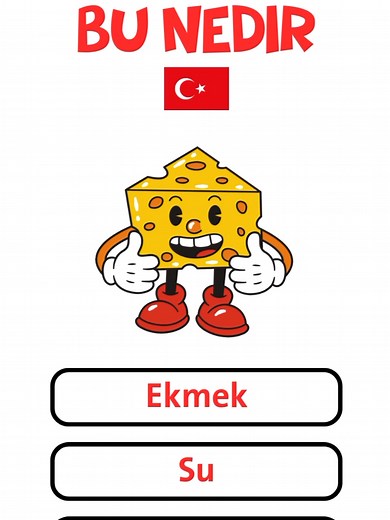 Learn Turkish: Master the Basics of the Language