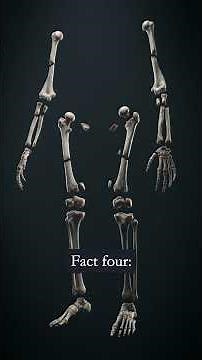 10 Bizarre Facts About Your Gross Body