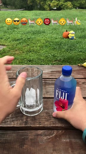 Funny Emoji Water Challenge with Fiji Water
