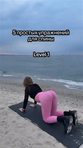 5 Simple Back Exercises for a Strong & Flexible Back 💪🔥 | Level 1–3 #exercise #lowback