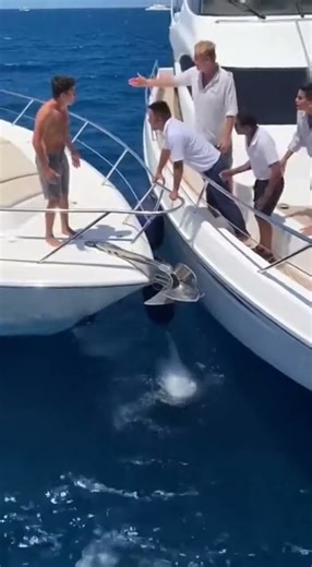 Eyewitness Footage of a Yacht Collision