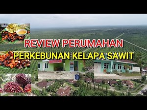 REVIEW OF EMPLOYEE HOUSING FOR PT. LANGGAM INTI HIBRINDO PALM OIL PLANTATION