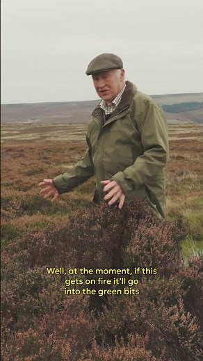 Why is heather burning important?