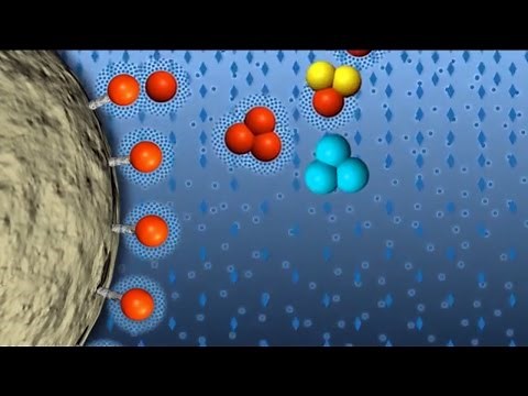 Hydrophobic Interaction Chromatography (GFP Purification part 4 of 6)