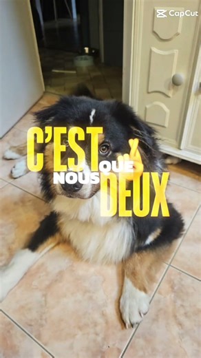 même ci j ai ma femme je préfère mes potes