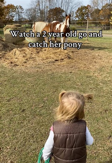 Cowgirl in the making #fyp #horse #pony #farmkids #toddler@thebarbiehorse