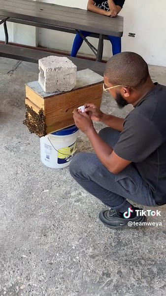 Engaging Bee Challenge Idea You Need to Try