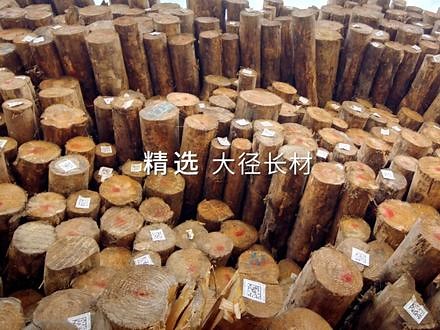 Dekek德科康首位品牌形象代言人@张梦雪首支品牌TVC正式发布，与你共同见证好板材——精、稳、强、美#高端定制专用板材#世界冠军之选