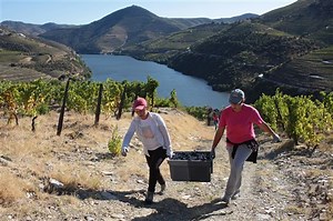 Wine of the Week: The white wines of Portugal - WTOP News
