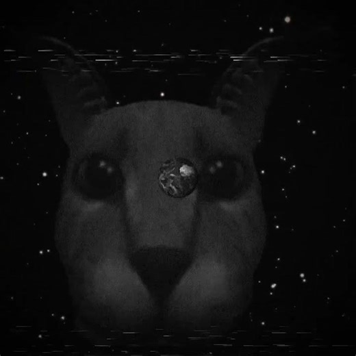 Floppa threat level 7.9 ￼ a pillar of power during the floppa￼ business ￼￼