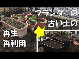 How to reclaim and reuse old soil from planters