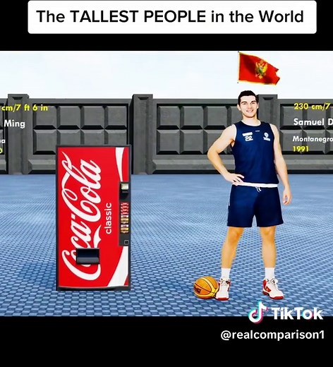 The Tallest People in the World: Robert Wadlow & More