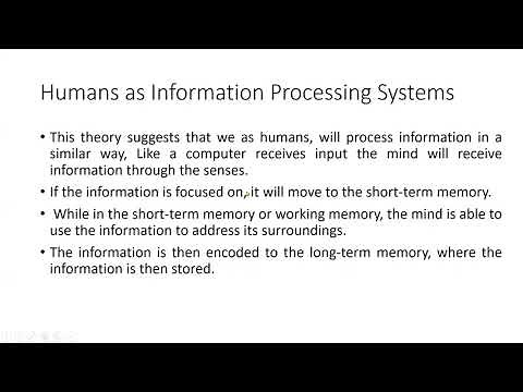 Information Processing Approach of Cognitive Development