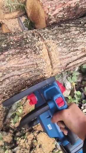 Cutting Large Tree Logs Efficiently With Professional Electric Chainsaw Techniques