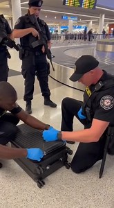 Security Discovers Caiman Inside Suitcase After Airport Alert Miami, Florida — Airport security responds to a tip regarding a suspicious piece of luggage and secures the surrounding area as officers and staff prepare to inspect the bag. When the suitcase is opened, a live caiman is revealed inside, startling those on scene as the reptile moves within the partially packed luggage while responders carefully control the situation. The animal is safely contained as authorities clear the area and rem