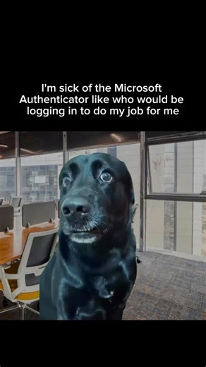 Microsoft Authenticator #workmemes #memes #fyp | Buzzy Box