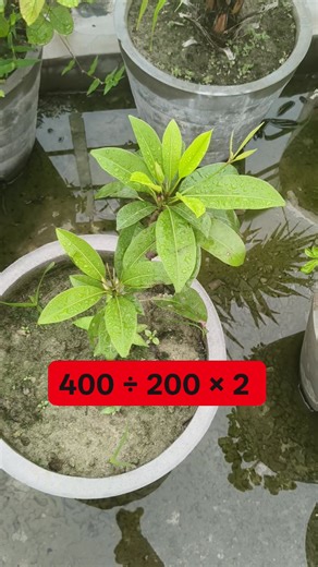 Math Test Solution you | Learn And Solve