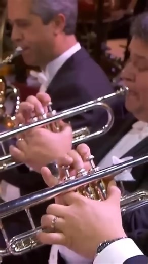 @amazingmusic513 on Instagram: "André Rieu - La Paloma 💓 Explore more beautiful 🎻performances from André Rieu🥰https://durl.ca/pwgkf"