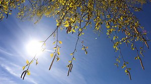 Here are the 20 worst US cities for seasonal allergies – and some of the best