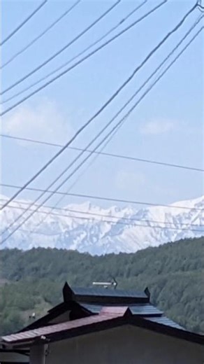 長野県 戸隠村の戸隠そば Togakushi Soba」(2023/5/1)