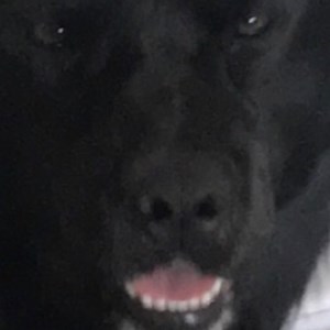 bubzstreams - Twitch