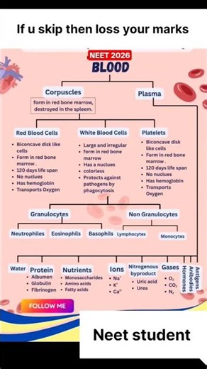 Blood composition 😎 #neetaspirents #boardexam #biology