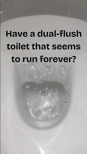 The Ultimate Toilet Repair Guide - Dual Flush Issues #26