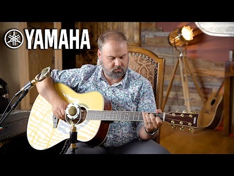 Yamaha's Incredible Affordable Acoustic | Yamaha LL16 Specs and Samples